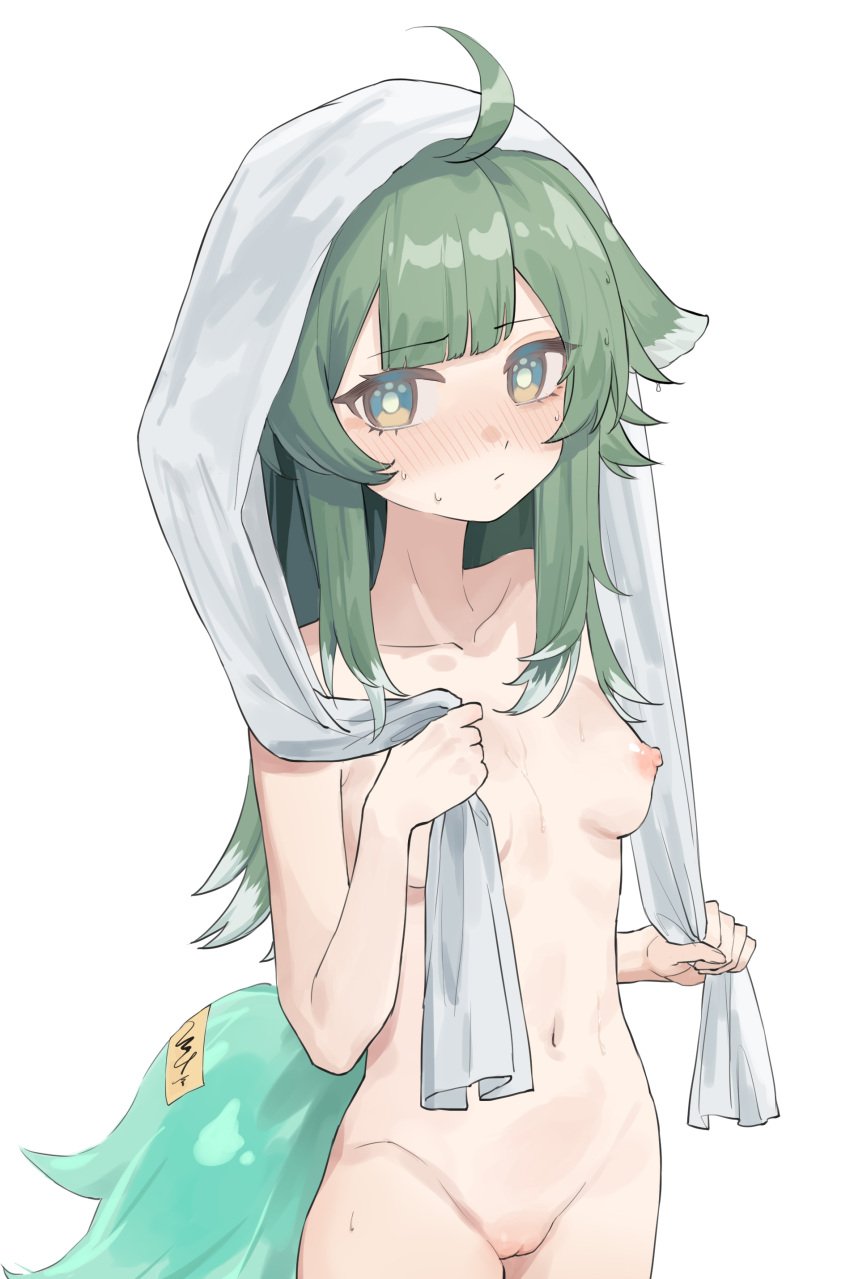 absurdres ahoge animal_ears blush breasts closed_mouth completely_nude cowboy_shot cunny female fox_ears fox_girl fox_tail green_eyes green_hair highres honkai:_star_rail honkai_(series) huohuo_(honkai:_star_rail) long_hair looking_at_viewer navel nipples nude pussy simple_background small_breasts solo tail towel towel_on_head uncensored user_awny2723 wet white_background