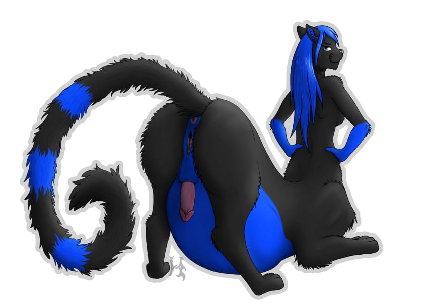 animal_genitalia anthro anus blue_eyes blue_hair breasts chakat felid felid_taur hair herm hi_res hybrid-no.1 intersex looking_at_viewer mammal nude penis pregnant presenting pussy sheath softpurr_(character) taur