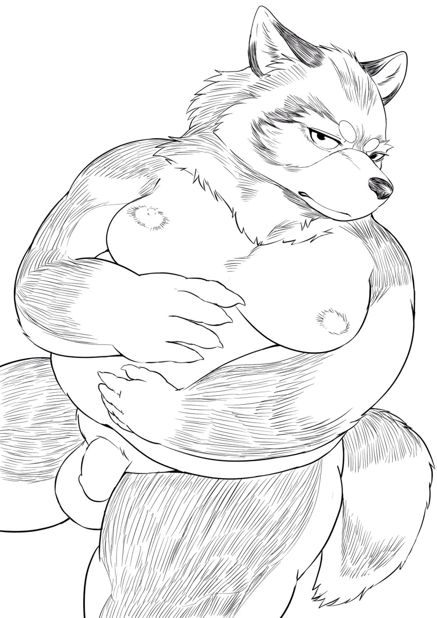 2024 anthro balls belly canid canine canis censroed genitals hi_res hysk kemono male mammal moobs nipples overweight overweight_male penis simple_background sitting solo white_background wolf