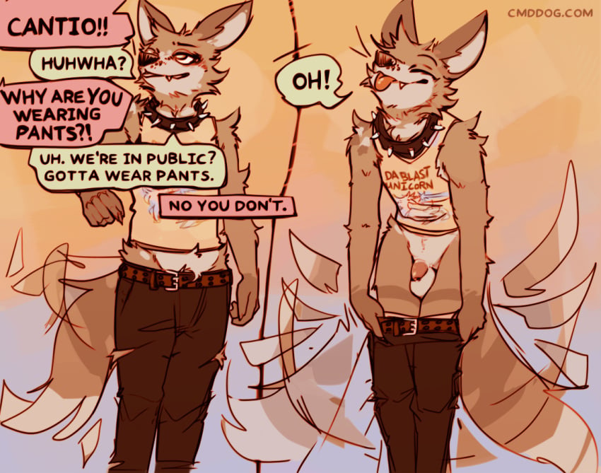 2024 anthro balls biped blep bottomwear bottomwear_down brown_body brown_fur canid canine canis cantio_(lawyerdog) closed_eyes clothed clothing collar countershade_torso countershading coyote dialogue digital_media_(artwork) english_text flaccid fur genitals humanoid_genitalia humanoid_penis lawyerdog male male_anthro mammal multicolored_body multicolored_fur pants pants_down partially_clothed penis shirt solo speech_bubble spiked_collar spikes tail tail_motion tailwag tank_top text tongue tongue_out topwear white_body white_fur