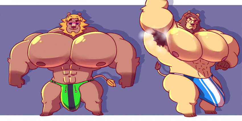 abs animal_crossing anthro armpit_fetish armpit_hair big_bulge big_muscles big_pecs big_penis body_hair bud_(animal_crossing) bulge chibi clothing duo elvis_(animal_crossing) felid genitals ghgbn hi_res huge_bulge huge_cock huge_muscles huge_pecs hyper hyper_bulge hyper_genitalia hyper_muscles hyper_pecs hyper_penis lion male male/male mammal muscular musk nintendo pantherine pecs penis speedo steam swimwear