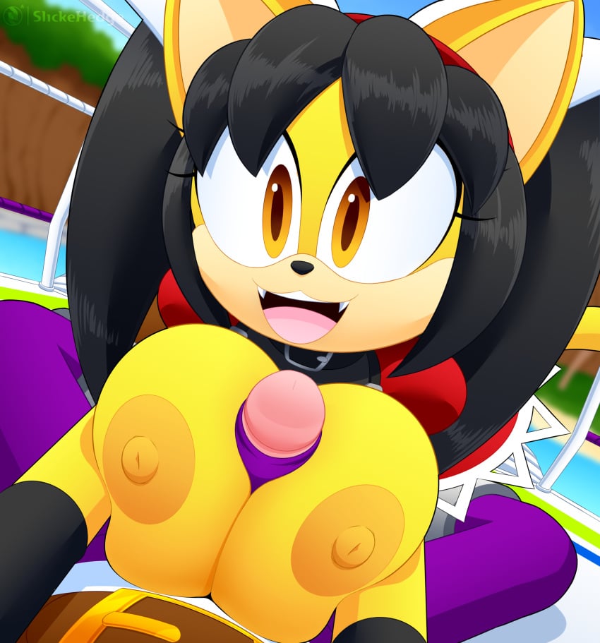 absurd_res anthro areola belt big_breasts breast_play breasts collar domestic_cat duo felid feline felis female first_person_view hi_res honey_the_cat huge_breasts male male/female mammal nipples open_mouth open_smile paizuri poolside sega sex slickehedge smile sonic_(series) sonic_the_fighters sonic_the_hedgehog_(series) titfuck