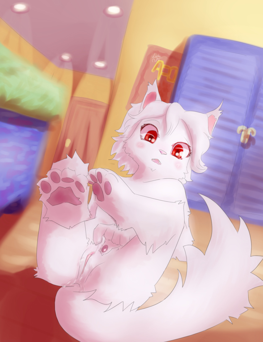 anthro cat domestic_cat felid feline felis female fur galo hi_res mammal masturbation open_mouth paws pussy red_eyes wet white_fur young