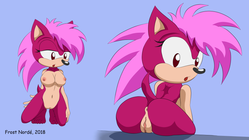 16:9 2018 4k absurd_res anthro anus ass breasts eulipotyphlan female frost_norde hair hedgehog hi_res looking_back mammal nipples nude pussy simple_background sitting solo sonia_the_hedgehog sonic_(series) sonic_underground