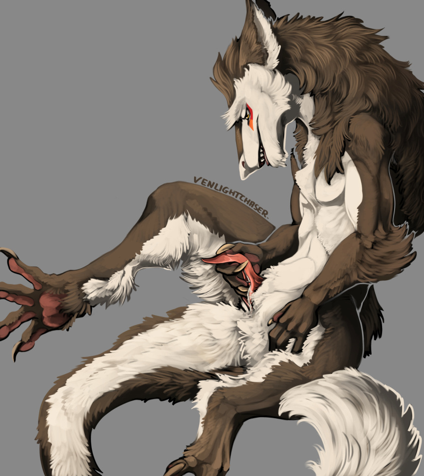 anthro black_body black_claws black_fur claws clitoral clitoral_masturbation cuntboy fingering fingering_self fur genitals hi_res intersex interspecies masturbation pawpads pussy red_pawpads sergal solo venlightchaser white_body white_fur