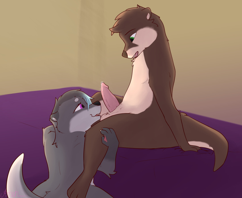 anen_(anentheotter) anentheotter anthro balls bed bodily_fluids brown_body brown_fur duo female fur furniture genital_fluids genitals green_eyes grey_body grey_fur hi_res imminent_sex kneeling looking_at_genitalia looking_at_penis male mammal multicolored_body multicolored_fur mustelid on_bed otter penis penis_in_face precum purple_eyes simple_background sitting sitting_on_bed two_tone_body two_tone_fur