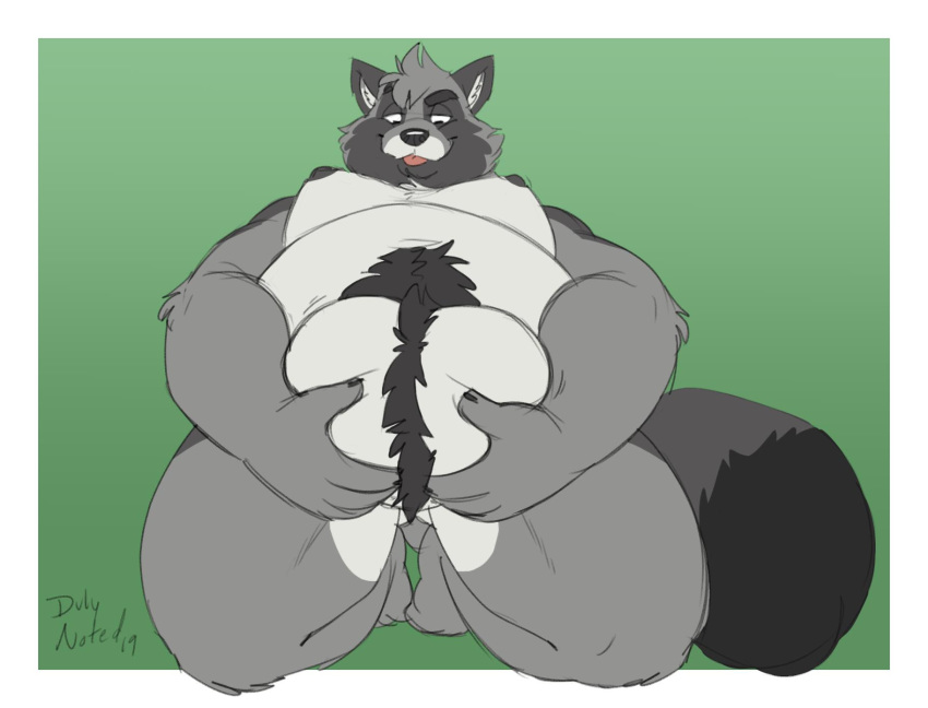 2019 anthro balls belly canid canine duly_noted fur grey_fur hi_res humanoid_hands male male_only mammal moobs nipples overweight overweight_male raccoon_dog simple_background solo tanuki