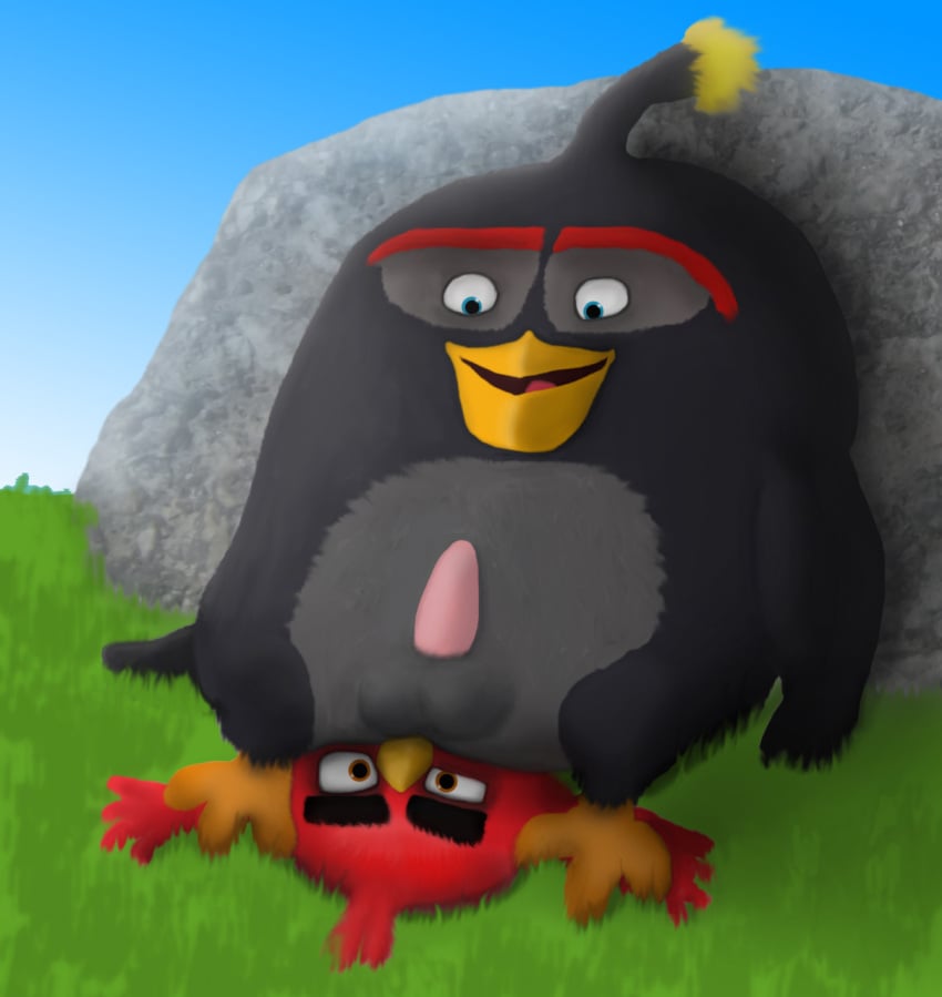 2022 anal angry_birds anthro avian balls bird black_body blue_eyes bomb_(angry_birds) brown_eyes columbia_pictures duo eyebrows genitals grass hi_res looking_at_another looking_down male male/male male_only open_mouth oral penis pinned pinned_to_ground plant red_(angry_birds) red_body rick25 rimming rock rovio rovio_animation rovio_entertainment sega sex sony the_angry_birds_movie thick_eyebrows tongue