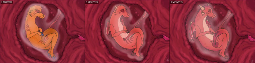 ambiguous_species amniotic_fluid amniotic_sac anthro anthro_transformation bodily_fluids closed_eyes dragon endosoma feral fetus fully_inside genital_fluids gesture horn internal julis-rocks long_image male orange_body penetration pregnant red_body sealed sharpiethedergun signature sleeping solo species_transformation stripes tail tail_gesture tail_heart time_lapse transformation transformation_through_vore umbilical_cord unbirthing uterus vaginal_penetration vore wide_image wings