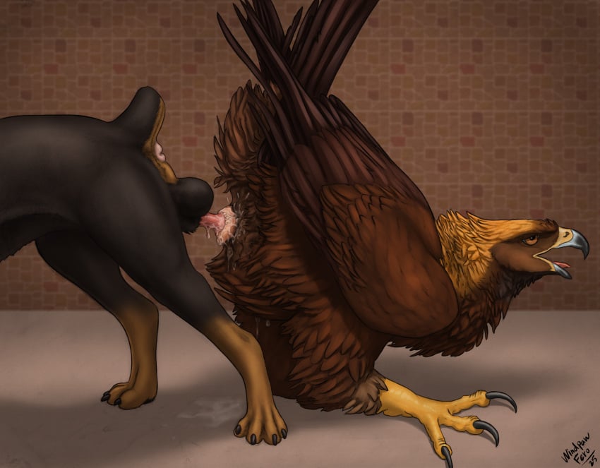 Sawyer (Ferobird) Rule 34 Image