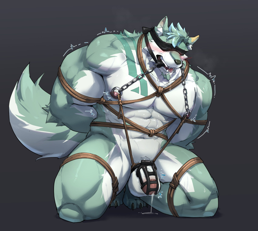 abs absurd_res anthro biceps big_muscles bit_gag blindfold blush bodily_fluids bondage bound canid canine canis chastity_cage chastity_device cum cum_drip cum_string domestic_dog dripping fluffels19 frogtied gag gagged genital_fluids genitals green_body hands_behind_back hi_res humanoid_genitalia humanoid_penis kneeling leaking_cum legs_tied male male_focus male_only mammal muscular nipple_chains nipple_piercing nipple_ring nipples nude pecs penis piercing restraints ring_piercing rope rope_bondage shaking simple_background solo