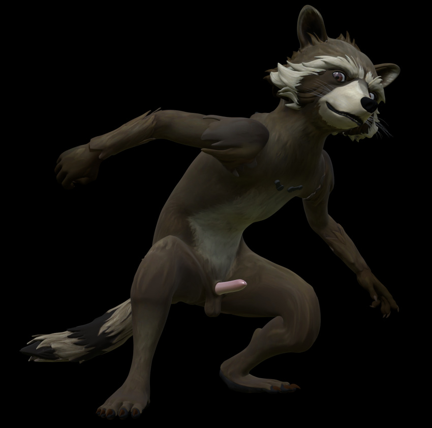 3d anthro crouching disney front_view fur guardians_of_the_galaxy hi_res male male_only mammal marvel nude penis procyonid raccoon rocket_raccoon rockyrcoon solo