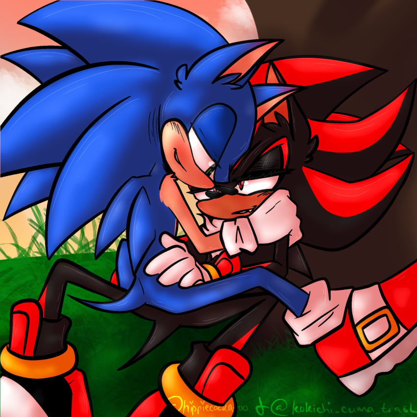 2boys collaboration gay hippiecockatoo male/male male_only mnsterfxcker mobian_(species) romantic romantic_couple sfw shadow_the_hedgehog sonadow sonic_(series) sonic_the_hedgehog sonic_the_hedgehog_(series) suggestive sunset yaoi