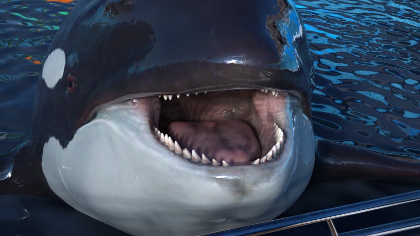 Burp Rule 34 Image