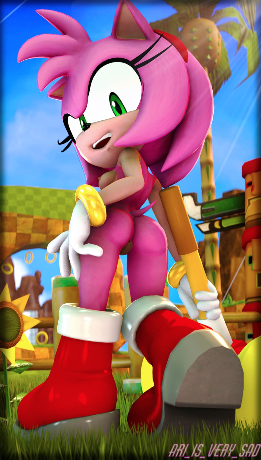 Amy Rose (Sega) Rule 34 Image