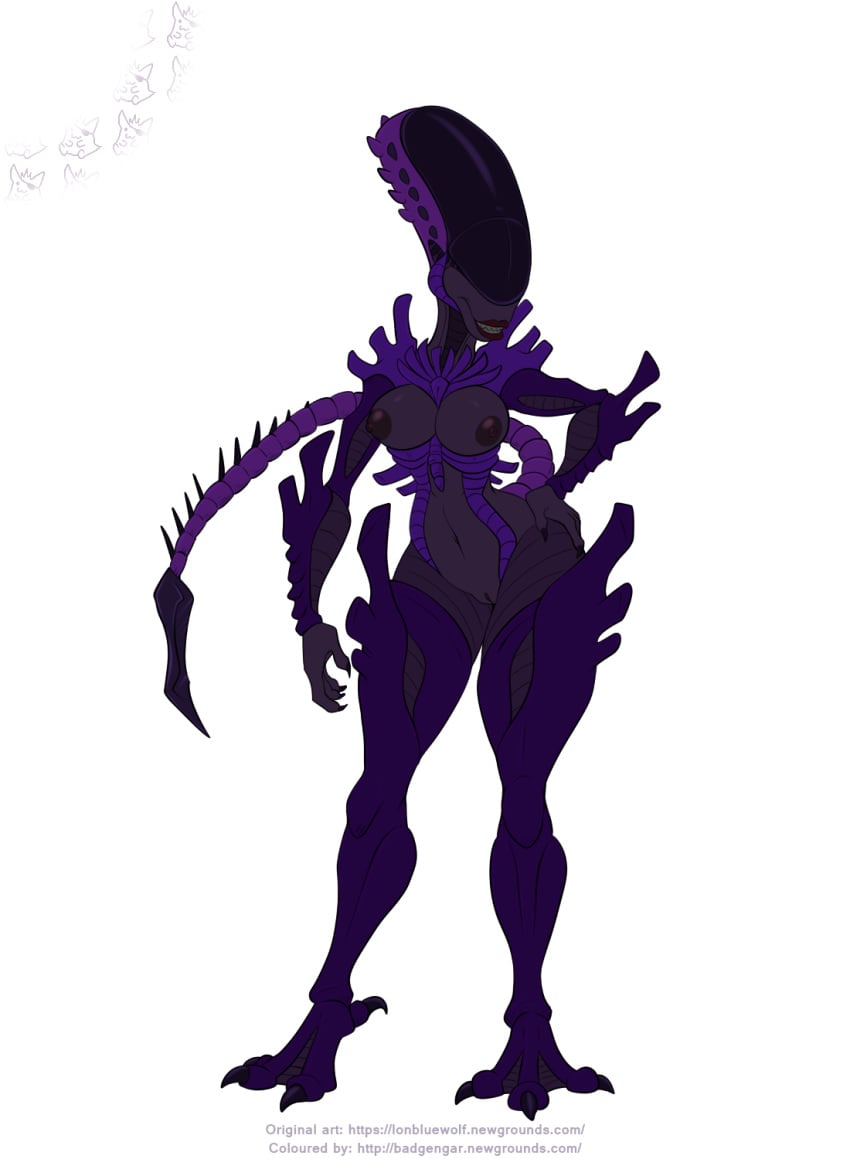 2019 alien alien_(franchise) areola badgengar breasts female female_xenomorph hi_res lonbluewolf multicolored_skin nipples purple_skin pussy solo teeth xenomorph