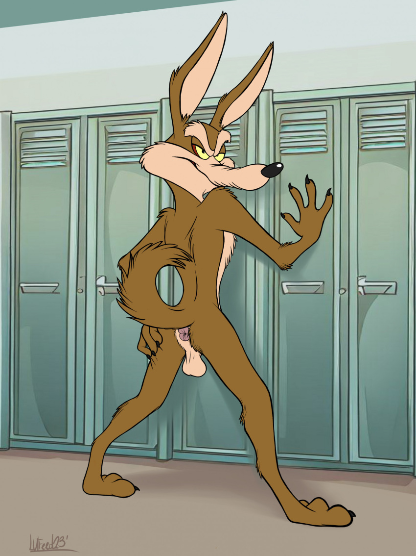 3_toes 4_fingers anthro anus arm_tuft ass backsack balls belly biped black_eyes black_nose brown_body brown_fur butt_tuft calf_tuft canid canine canis changing_room cheek_tuft claws colored coyote digital_drawing_(artwork) digital_media_(artwork) digitigrade elbow_tuft eyebrows facial_tuft feet finger_claws fingers flat_colors foot_tuft forearm_tuft forearms fur genitals glance grin grinning_at_viewer gym hand_on_butt hand_on_door heel_tuft hi_res leg_tuft locker locker_room looking_at_viewer looney_tunes lufeed male mammal nude paws pink_anus pinup plantigrade pose raised_heel raised_tail rear_view shoulder_tuft smile smiling_at_viewer smirk smirking_at_viewer smug smug_expression smug_eyes smug_face smug_grin solo spine spread_anus spread_butt spreading standing_on_toes stretched_anus tail tan_balls tan_belly tan_body tan_eyebrows tan_fur tiptoes toe_claws toes tuft warner_brothers wile_e._coyote yellow_sclera