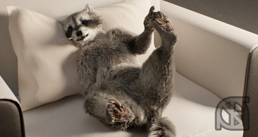 3d animal_genitalia animal_pussy anthro anus ass black_nose claws cosmiclife feet female feral flat_chested fur hi_res hindpaw legs_up looking_at_viewer lying mammal on_back pawpads paws pillow pinup pose procyonid pussy raccoon realistic semi-anthro smile sofa solo spread_legs spreading sue_andy_(cosmiclife) teeth whiskers