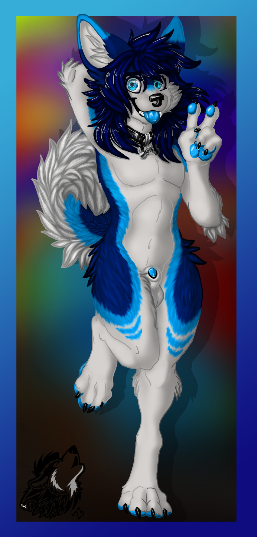 2023 absurd_res anatomically_correct anatomically_correct_genitalia anatomically_correct_penis animal_genitalia animal_penis anthro big_ears big_tail biped blep blue_body blue_eyes blue_fur blue_tongue bodily_fluids canid canine canine_genitalia canine_penis canis codestrike collar collar_tag colorful_background cum curled curled_tail domestic_dog femboy fluffy fur genital_fluids genitals hair hi_res husky jewelry long_hair looking_at_viewer male mammal nordic_sled_dog paws penis pose shaded sheath simple_background soft_shading solo spitz strike tail tongue tongue_out