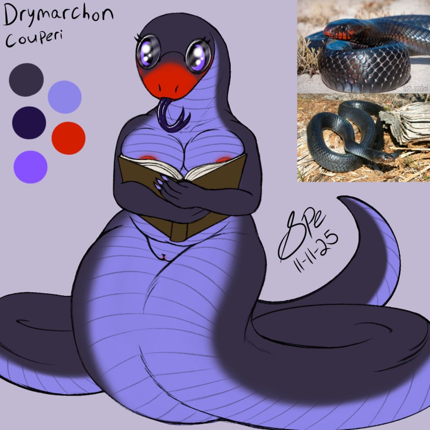 Digital Drawing (Artwork) Rule 34 Image