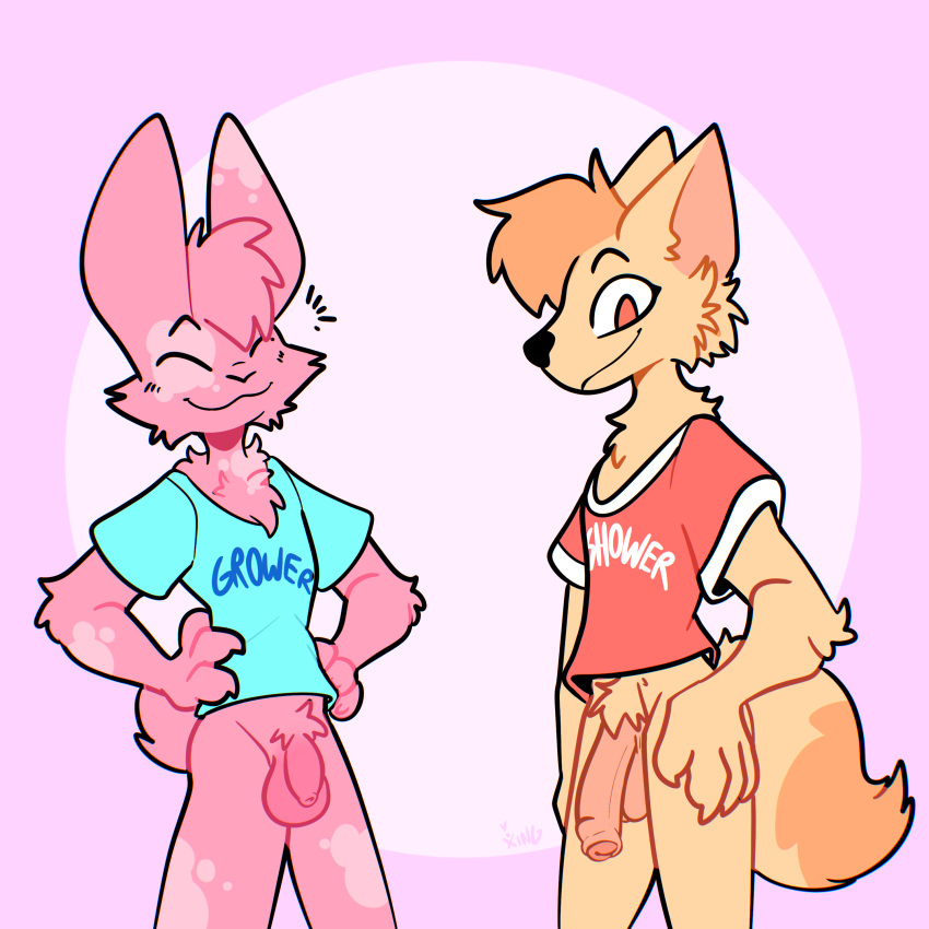 absurd_res anthro balls bottomless bottomless_anthro bottomless_male canid canine cheek_tuft closed_eyes clothed clothing duo facial_tuft flaccid foreskin fox fur genitals hair hi_res humanoid_genitalia humanoid_penis lagomorph leporid male mammal multicolored_body multicolored_fur orange_hair penis pink_background pink_body pink_fur rabbit shirt simple_background smile t-shirt topwear tuft two_tone_body two_tone_fur uncircumcised wide_eyed xing1 yellow_body yellow_fur