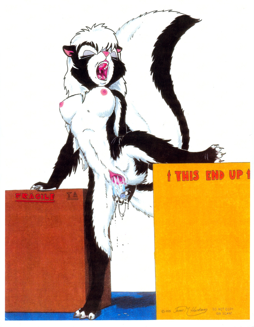 1990s 1995 20th_century absurd_res anthro black_fur box breasts claws closed_eyes cum dildo female fur hair hi_res holding_object holding_sex_toy james_m_hardiman lori_(jmh) mammal masturbation mephitid nipples nude open_mouth penetration pink_nose pussy pussy_juice sex_toy skunk solo toying_self vaginal_masturbation vaginal_penetration white_fur white_hair