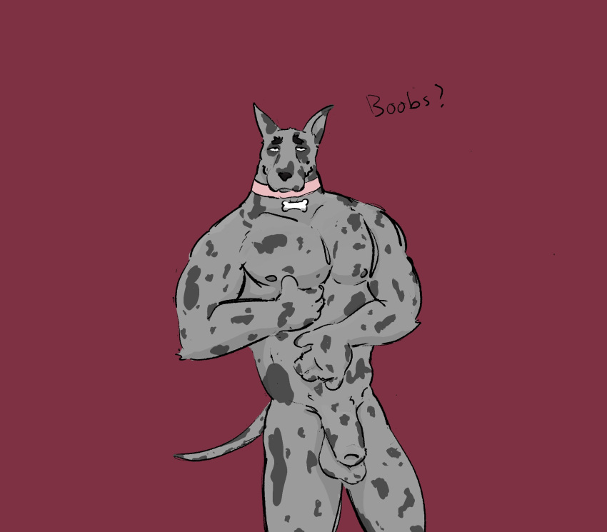 animal_genitalia animal_humanoid animal_penis anthro balls big_balls big_breasts big_pecs body_grab bouncing_balls breast_fondling breast_play breast_squeeze breasts brindle_coat bulge canid canid_humanoid canine canine_genitalia canine_humanoid canine_penis canis collar collar_only dick_swing dickinoatmeal dog_humanoid domestic_dog fondling fully_sheathed genitals great_dane hand_on_body hand_on_breast hi_res humanoid male mammal mammal_humanoid markings mastiff molosser muscular muscular_male nipples nude nude_anthro nude_male pecs penis sheath solo spots spotted_body spotted_markings squeezing tail