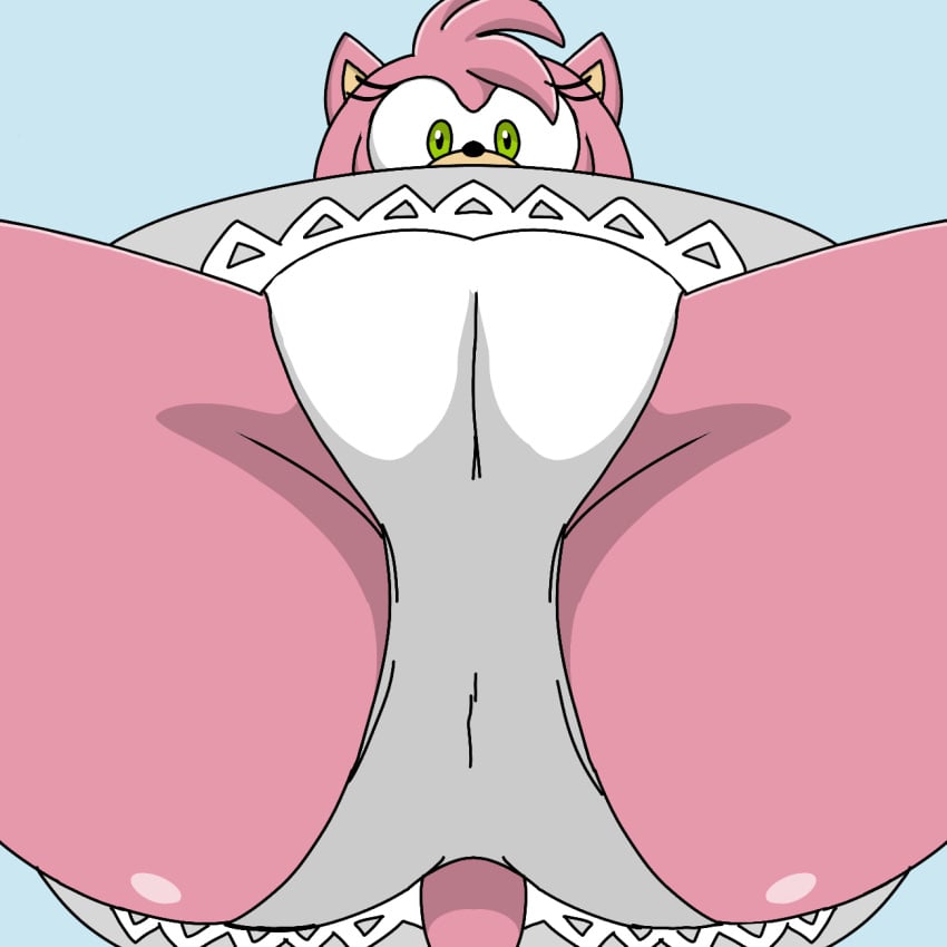 amy_rose dress female furry green_eyes hedgehog looking_at_viewer looking_down panties pink_body pussy sonic_(series) sonic_the_hedgehog_(series) spanky15 underwear white_panties