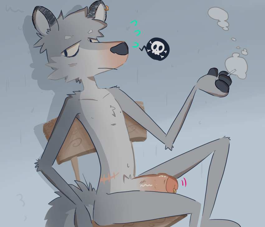 2019 beez canid canine canis chair cigar erection foxxx321 hi_res humanoid_penis male male_only mammal nude penis piercing sitting solo wolf