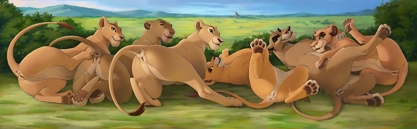 2022 2022s 6girls anus disney disney_sequel felid feline felis female female_focus female_only feral fur furry furry_female furry_only furry_tail genitals grass group hi_res kiara kiara_(the_lion_king) lion lion_ears lion_girl lion_tail lioness looking_at_viewer mammal multicolored_body multicolored_fur nala nala_(the_lion_king) nature_background pantherine pussy reallynxgirl sarabi sarabi_(the_lion_king) sarafina sarafina_(the_lion_king) tail tan_body tan_fur the_lion_king the_lion_king_ii:_simba's_pride toes two_tone_body two_tone_fur vagina vitani vitani_(the_lion_king) zira zira_(the_lion_king)