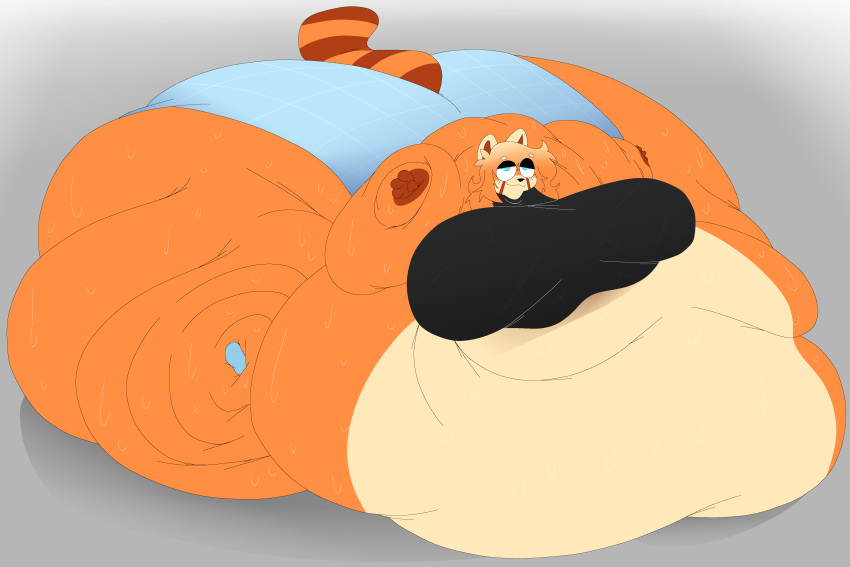 anthro bbw belly carewareware clothing fat female furry hyper hyper_fat maddie_(maddiesbad) morbidly_obese morbidly_obese_female orange_fur red_panda ssbbw sweat sweaty sweaty_butt