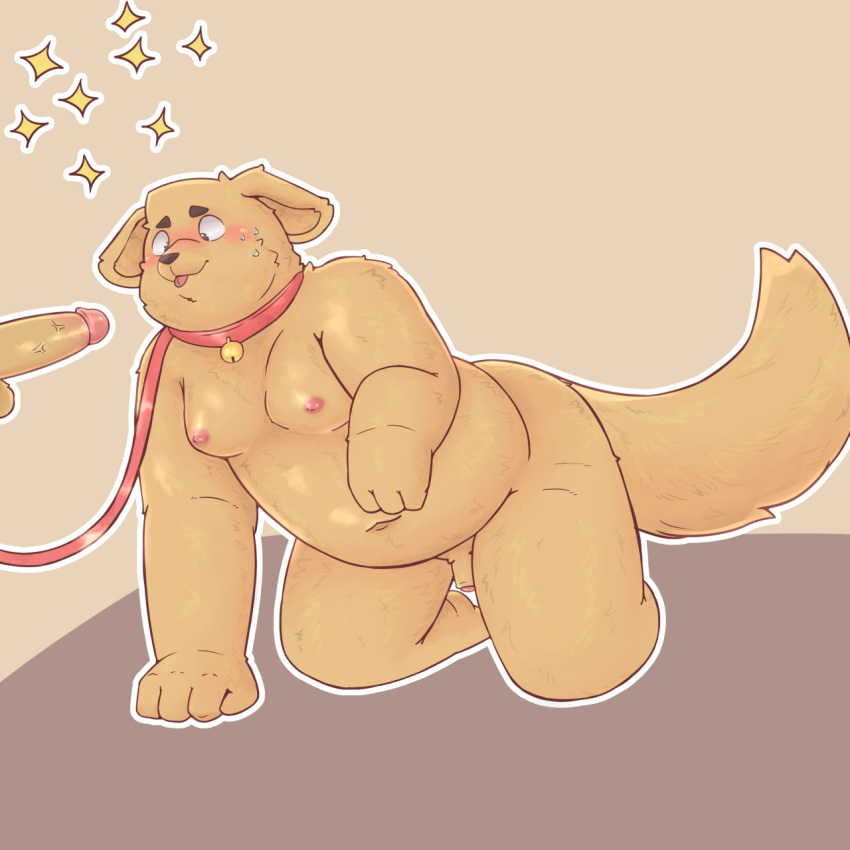 1:1 all_fours anthro balls bfkitsu1550 blush canid canine canis collar domestic_dog erection flaccid foreskin hi_res humanoid_penis leash male mammal moobs navel obese overweight penis simple_background uncut yaoi