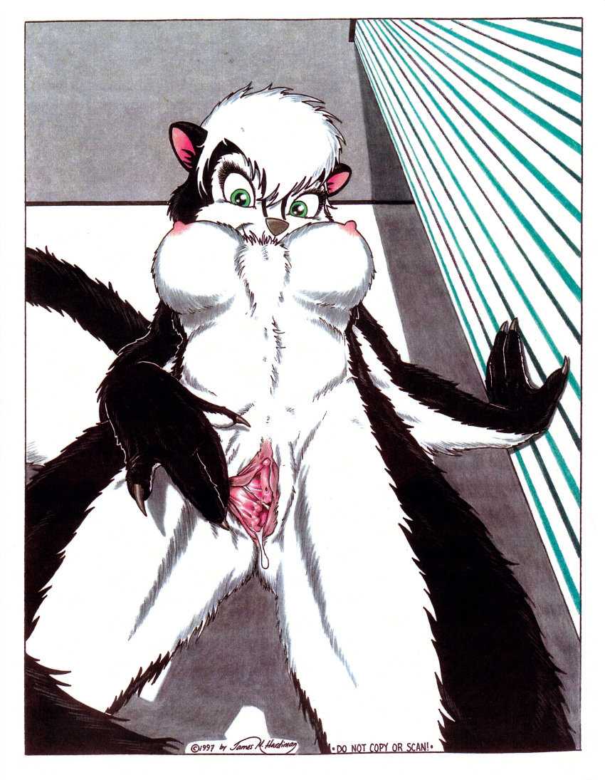 1990s 1997 20th_century absurdres anthro black_fur black_nose breasts clitoris female fur furry green_eyes highres james_m_hardiman looking_down lori_(jmh) low-angle_view mammal mephitid nipples presenting pussy pussy_juice skunk solo spread_pussy spreading urethra white_fur white_hair