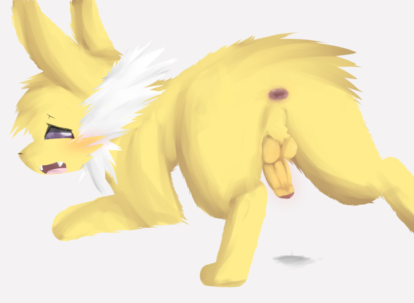 1boy absurd_res all_fours anus ass big_ears black_eyes blush canine chest_tuft dripping ears_up eeveelution feet feral fluffy foxwhitenorth fur furry half-closed_eyes hi_res humanoid_penis jolteon long_ears looking_at_viewer looking_back male male_only mammal nintendo nude open_mouth paws penis pokémon_(species) pokemon pokemon_(species) pokemon_rgby purple_eyes rear_view snout solo teeth testicles thick_thighs tongue tuft video_games white_background white_fur yellow_fur