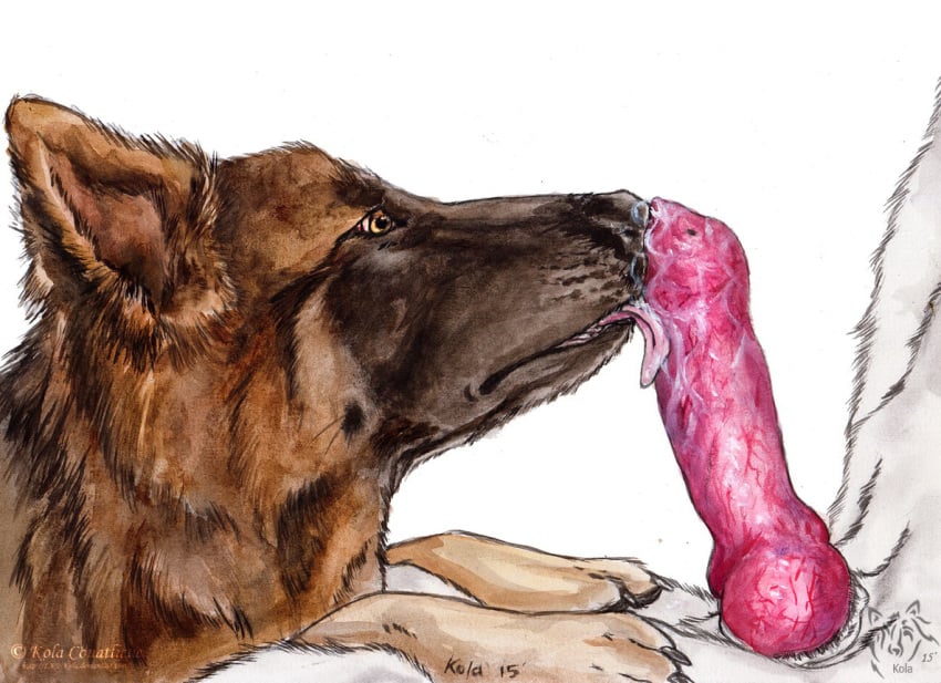 2015 ambiguous_gender anatomically_correct anatomically_correct_penis animal_genitalia animal_penis brown_eyes canid canine canine_penis canis cum cum_on_penis domestic_dog fellatio feral fur german_shepherd herding_dog knot kola_(artist) licking male male/ambiguous mammal oral pastoral_dog paws penile penis penis_lick sex simple_background tongue tongue_out white_fur