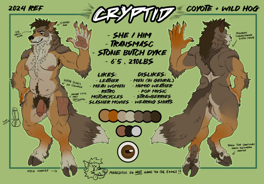 boar bottom_surgery breasts butch canine coyote cryptidcoyote furry fursona hog hybrid intersex penis ref_sheet reference_sheet tusks