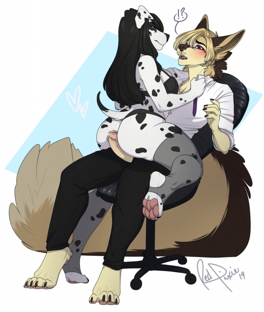 ?! anthro blush canid canine chair clothing duo erection female hi_res humanoid_penis legwear male mammal open_mouth osiris_henschel penis redpixie sitting stockings straight thick_thighs uncut