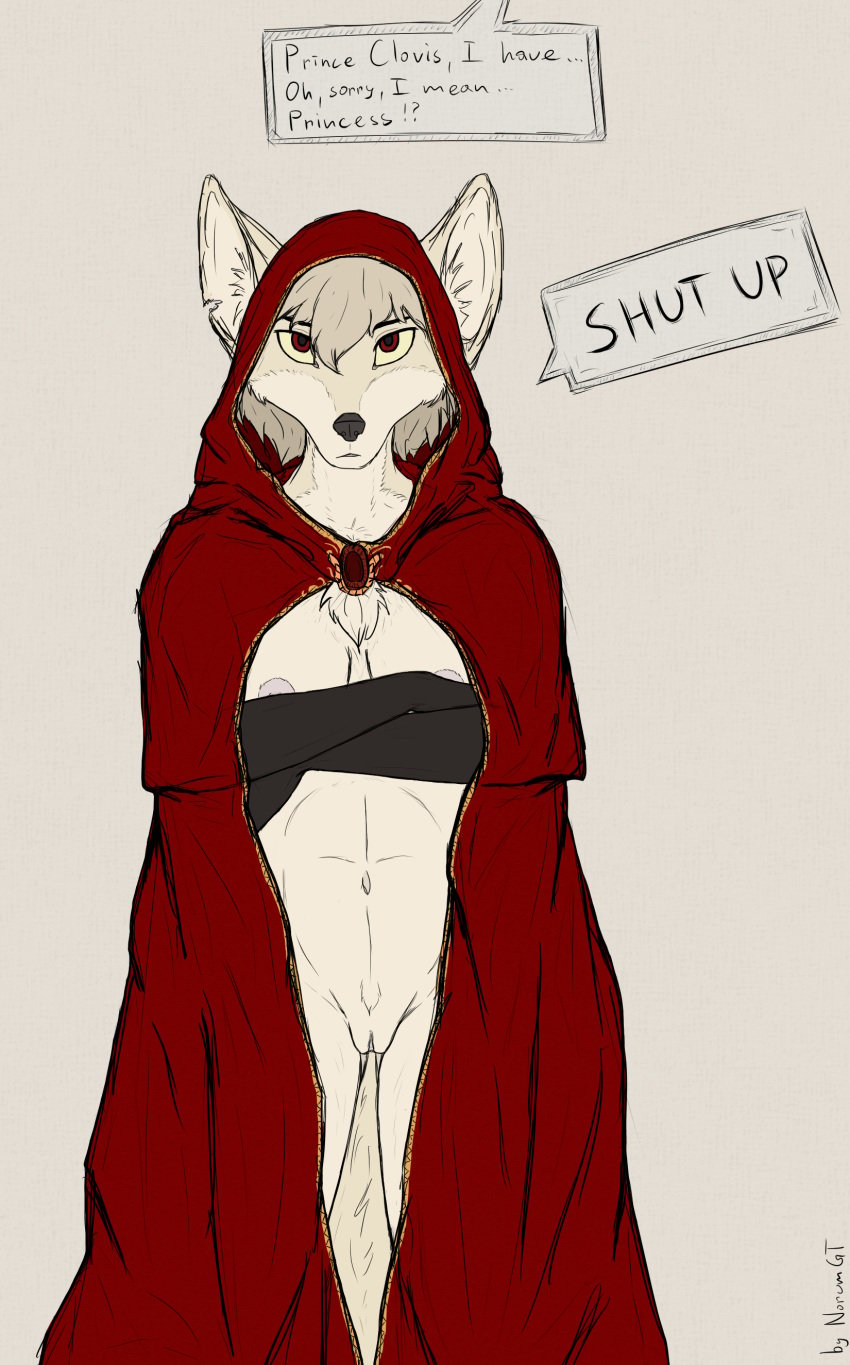 absurd_res anthro breasts canid canine canis chest_tuft clothed clothing clovis_(twokinds) crossed_arms dialogue english_text female fox fur hair hi_res hybrid keidran looking_at_viewer mammal navel norumgt notched_ear partially_clothed pussy red_eyes robe rule_63 simple_background sketch solo standing text tuft twokinds webcomic white_fur white_hair wolf yellow_sclera