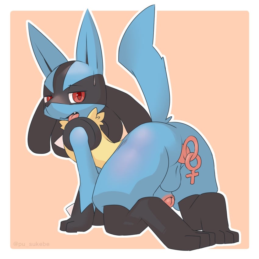 1:1 1boy 2019 all_fours anal anal_insertion anthro ass big_ass black_fur blue_fur buttplug feet foreskin fur furry gay hi_res humanoid_penis looking_at_viewer looking_back lucario male male_only male_penetrated masturbation nintendo nude paws penetration penis pokemon pokemon_(species) pokemon_dppt pu_sukebe rear_view red_eyes sex_toy solo testicles text thick_thighs uncut video_games watermark yellow_fur