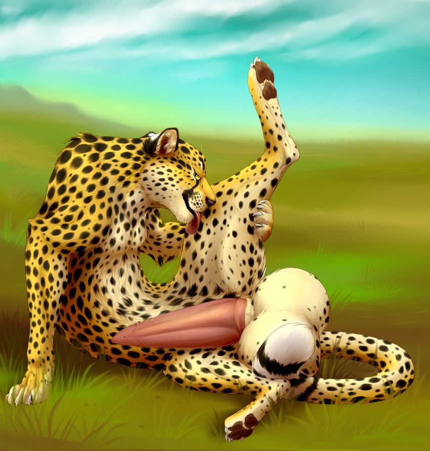 absurd_res animal_genitalia animal_penis balls barbed_penis big_balls cheetah erection felid feline feline_penis feral fur grass hi_res huge_balls hyper hyper_balls hyper_penis jasiri licking looking_at_viewer male male_only mammal outside penis sheath smile solo sumari tongue tongue_out