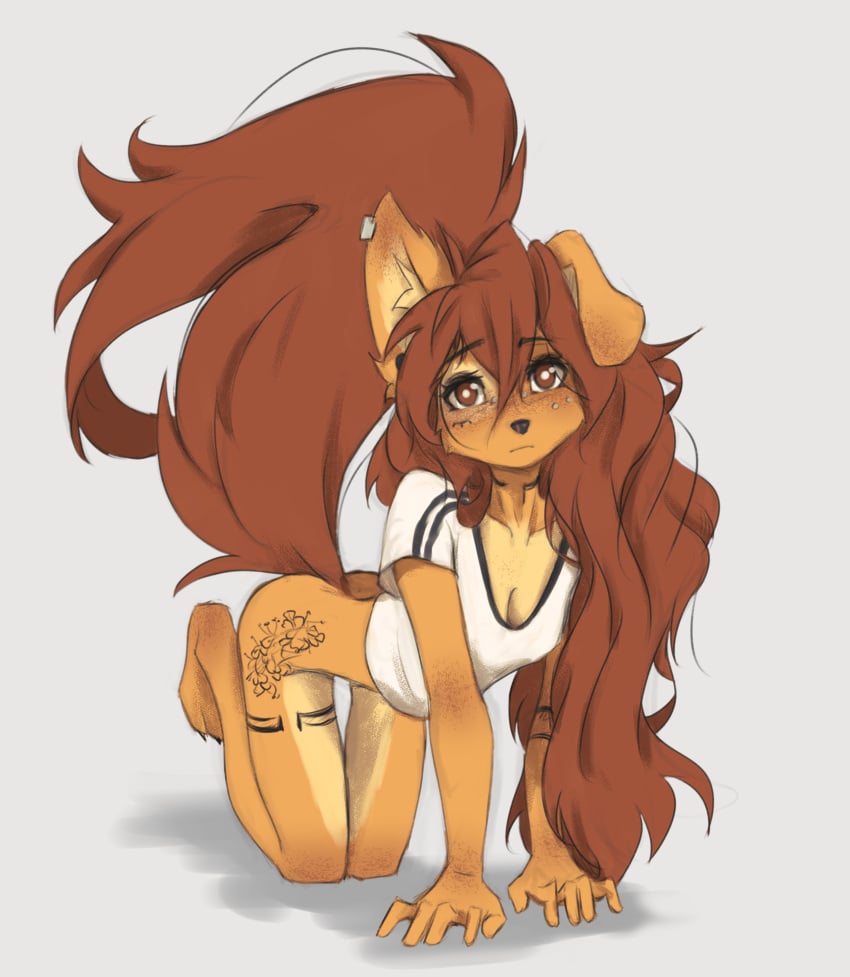 1girls apogee_(tinygaypirate) breasts brown_eyes brown_fur brown_hair canine cleavage cute dog_ears dog_girl earring female fluffy_tail freckles fur furry furry_female furry_only long_hair looking_at_viewer piercing small_breasts solo tail tattoo thighs tinygaypirate white_shirt