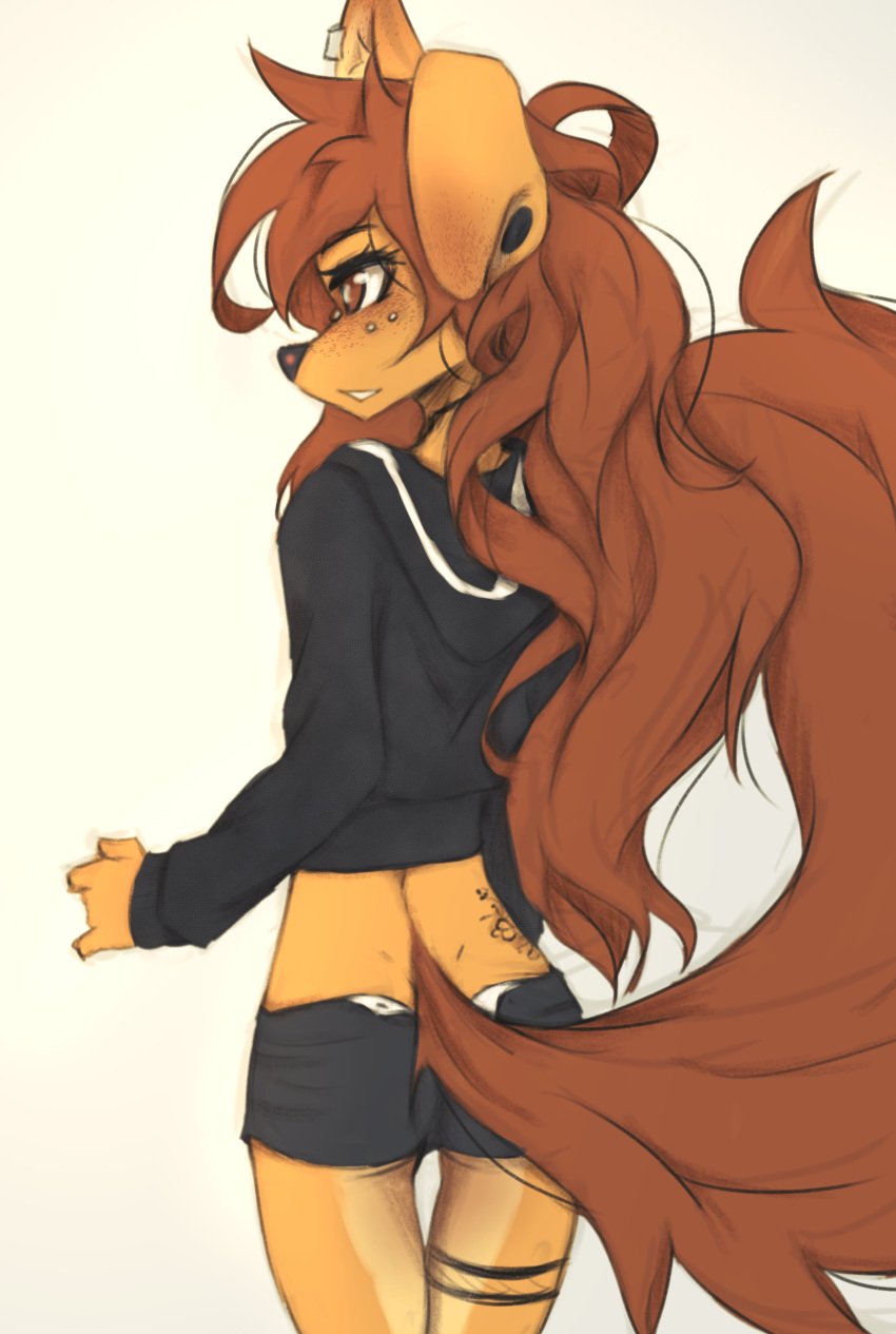 1girls apogee_(tinygaypirate) breasts brown_eyes brown_fur brown_hair canine cute dog_ears dog_girl earring female fluffy_tail freckles fur furry furry_female furry_only long_hair looking_at_viewer piercing shorts small_breasts solo tail tattoo thighs tinygaypirate