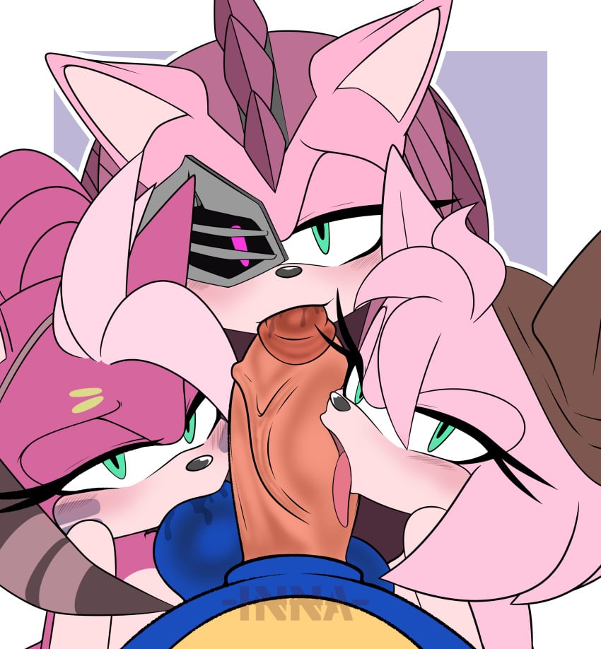 Black Rose (Sonic Prime) Rule 34 Image