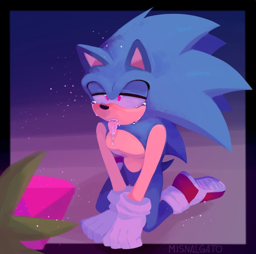 1boy 2024 anthro anthro_only black_nose blue_fur chest covering covering_crotch crotch_tuft crying drool drooling ear flower footwear half-closed_eyes hedgehog hedgehog_humanoid highres humanoid male male_only misnalgatos nose on_knees penis sega solo solo_male sonic_(series) sonic_the_hedgehog sonic_the_hedgehog_(series) spines tail tears tongue tongue_out