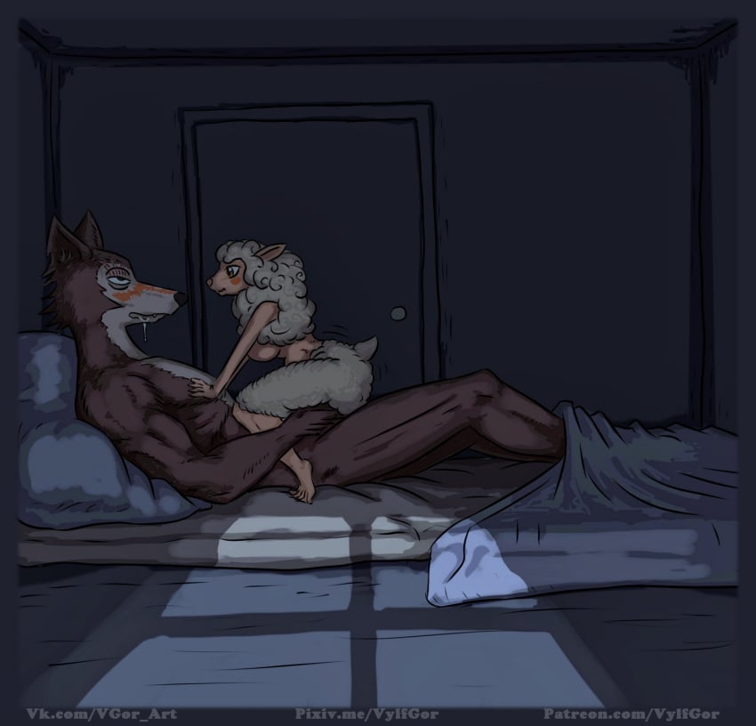 anthro beastars black_nose bovid breasts canid canine canis caprine comic digital_media_(artwork) domestic_sheep female fur furry furry_only hi_res interspecies legoshi_(beastars) male mammal manga merino_sheep night predator/prey sebun_(beastars) sheep size_difference straight vylfgor wolf