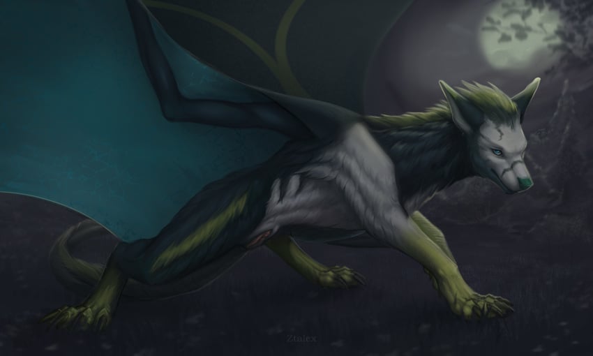 black_body black_fur blue_body blue_eyes blue_fur blue_membrane canid canine claws dragon female feral fur furred_dragon furred_scalie green_body green_claws green_fur green_mane hi_res hybrid looking_at_viewer mammal mane membrane_(anatomy) membranous_wings mythological_creature mythological_scalie mythology night pink_pussy pink_vulva pussy scalie solo vulva white_body white_fur wings ztalex