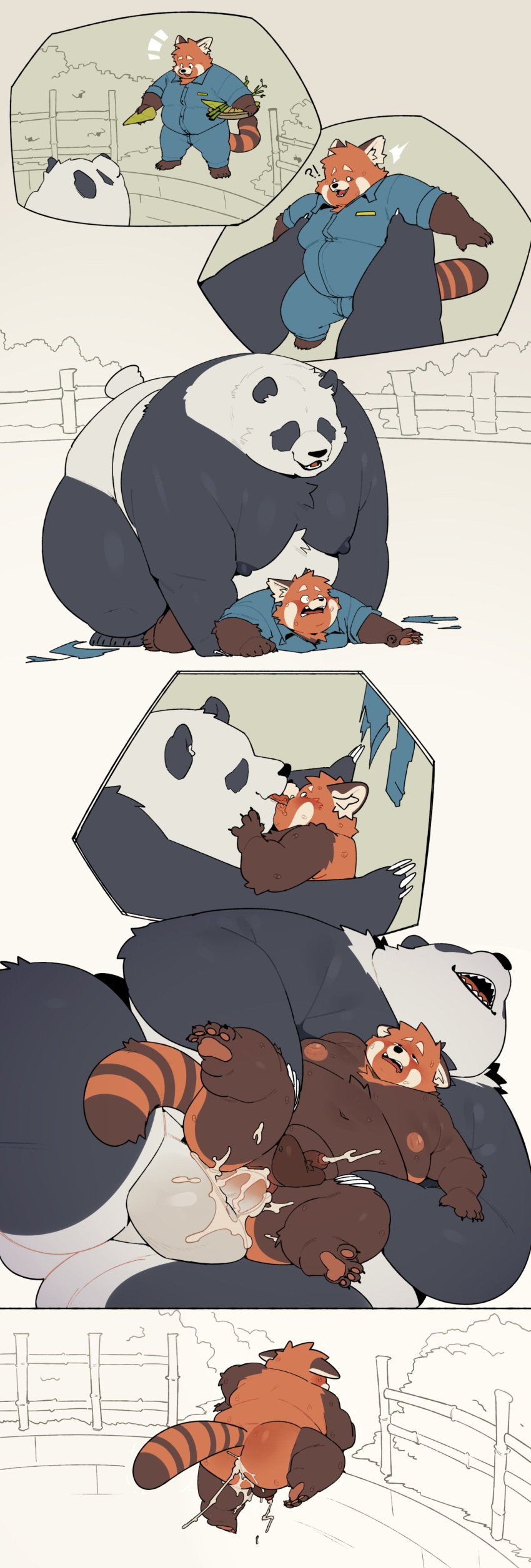 2025 absurd_res ailurid anal anthro bear belly big_belly black_body black_nose bodily_fluids comic cum duo ejaculation forced genital_fluids genitals giant_panda hi_res kemono male male/male mammal moobs nipples orange_body overweight overweight_male penis penis_size_difference quanjiang red_panda sex size_difference white_body