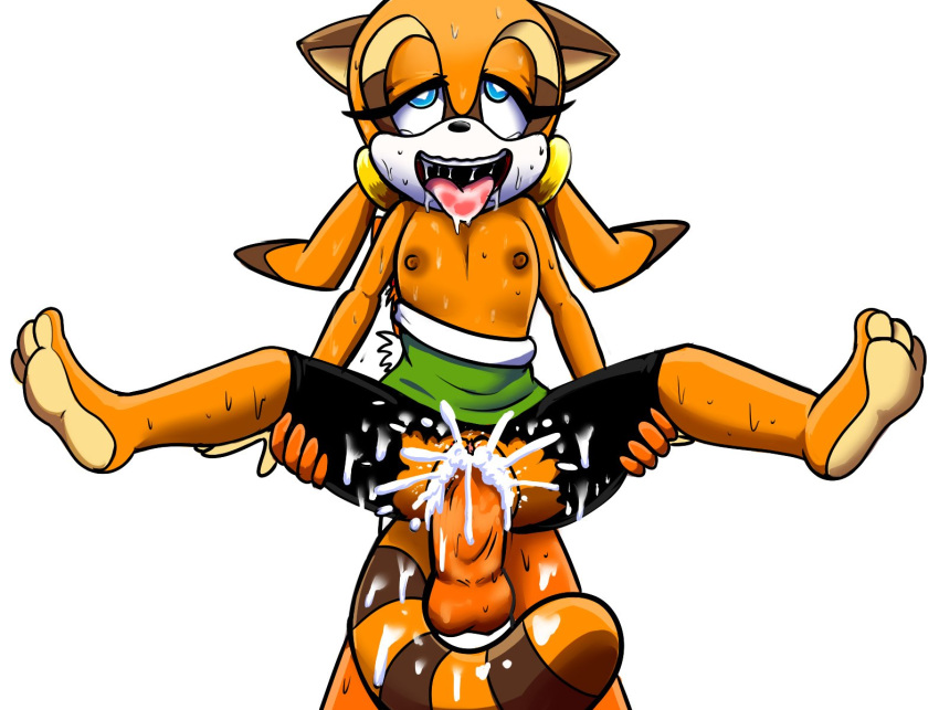 balls carrying cub cum cum_in_pussy dexstar faceless_male flat_chest lifted marine_the_raccoon nipples penis pussy sonic_(series) torn_clothes vaginal_penetration