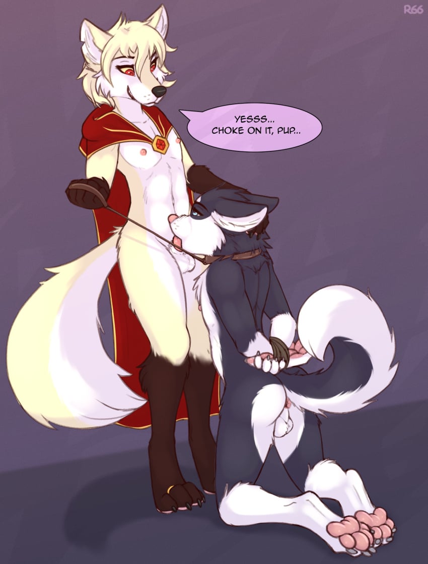 Clovis (Twokinds) Rule 34 Image