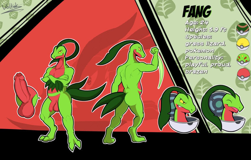 2023 2_toes 3_fingers angry anthro ass balls big_penis biped black_eyes crossed_arms digital_media_(artwork) digital_painting_(artwork) digitigrade english_text erection fang_(themusicalhusky) feet fingers fist flaccid foreskin front_view generation_3_pokemon genitals glans green_background green_body green_butt green_skin grovyle happy leaf leaf_hair looking_at_viewer male multicolored_body multicolored_skin multiple_angles nintendo nude penis plant plant_hair pokeball pokemon pokemon_(species) pseudo_hair raised_arm rear_view red_background red_balls red_body red_foreskin red_glans red_penis red_skin reference_image simple_background smile smirk solo standing tail text toes two_tone_body two_tone_skin voltek yellow_sclera